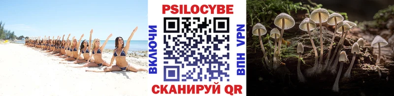 Псилоцибиновые грибы Cubensis  купить  цена  Среднеуральск 